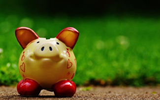 Everyone Needs A Financial Plan | Focus Wealth Strategies